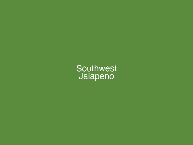 Southwest Jalapeno popcorn