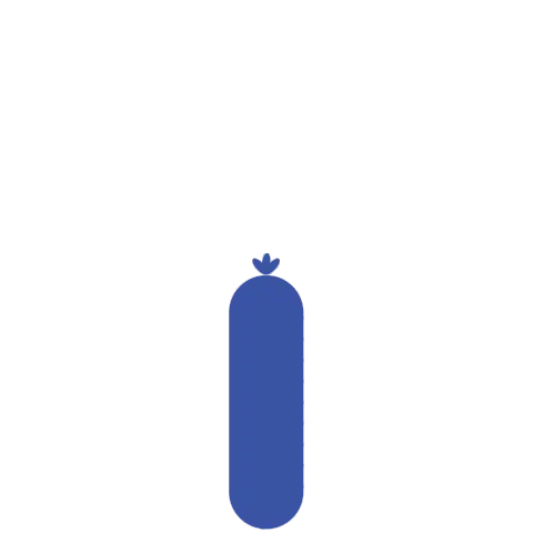 Small size, 9 cups